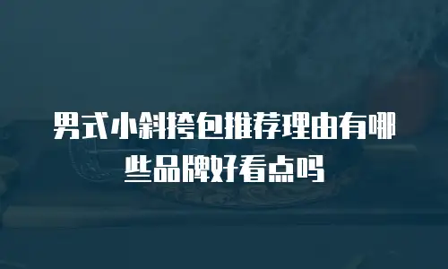 男式小斜挎包推荐理由有哪些品牌好看点吗