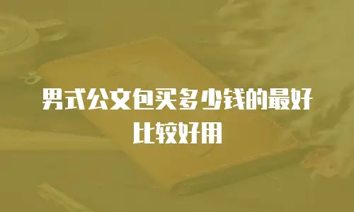 男式公文包买多少钱的最好比较好用