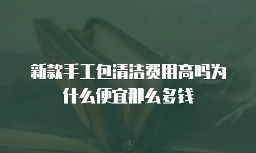 新款手工包清洁费用高吗为什么便宜那么多钱