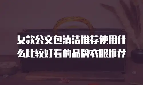女款公文包清洁推荐使用什么比较好看的品牌衣服推荐