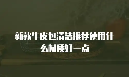 新款牛皮包清洁推荐使用什么材质好一点