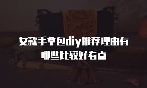 女款手拿包diy推荐理由有哪些比较好看点