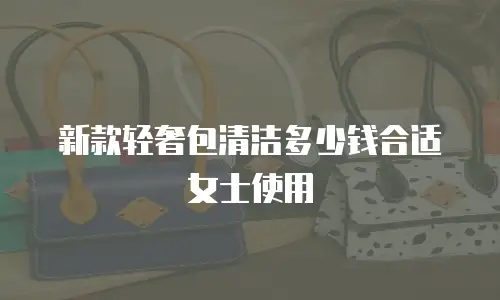 新款轻奢包清洁多少钱合适女士使用