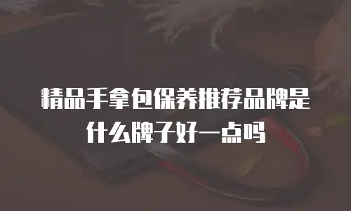 精品手拿包保养推荐品牌是什么牌子好一点吗