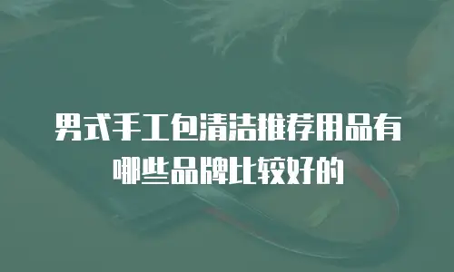 男式手工包清洁推荐用品有哪些品牌比较好的