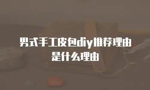 男式手工皮包diy推荐理由是什么理由