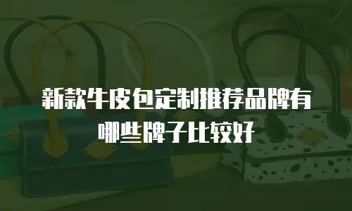 新款牛皮包定制推荐品牌有哪些牌子比较好