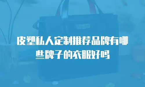 皮塑私人定制推荐品牌有哪些牌子的衣服好吗