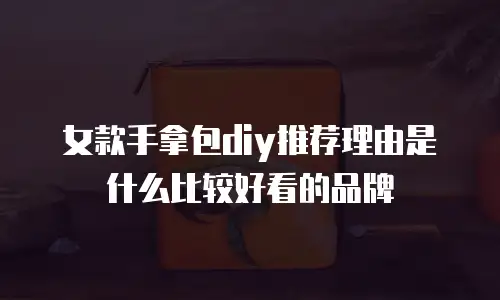 女款手拿包diy推荐理由是什么比较好看的品牌
