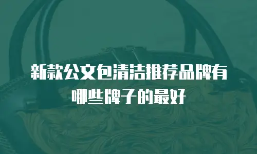 新款公文包清洁推荐品牌有哪些牌子的最好