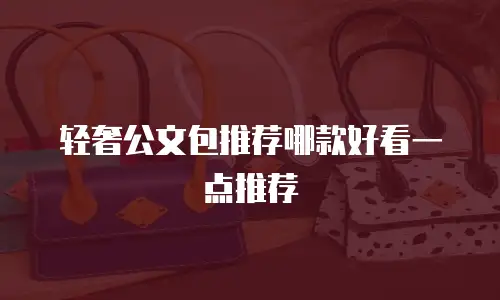 轻奢公文包推荐哪款好看一点推荐