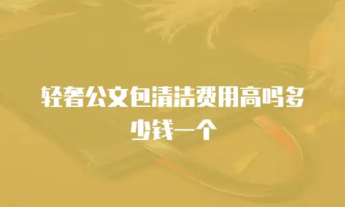 轻奢公文包清洁费用高吗多少钱一个