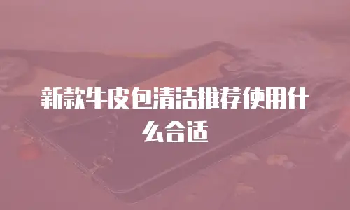 新款牛皮包清洁推荐使用什么合适