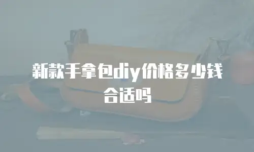 新款手拿包diy价格多少钱合适吗