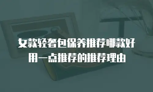 女款轻奢包保养推荐哪款好用一点推荐的推荐理由