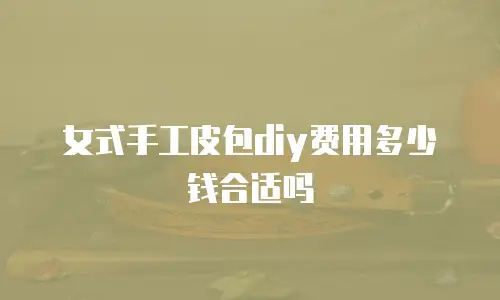女式手工皮包diy费用多少钱合适吗