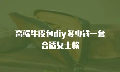 高端牛皮包diy多少钱一套合适女士款