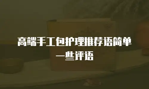 高端手工包护理推荐语简单一些评语