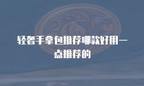 轻奢手拿包推荐哪款好用一点推荐的