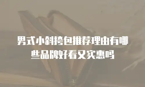 男式小斜挎包推荐理由有哪些品牌好看又实惠吗