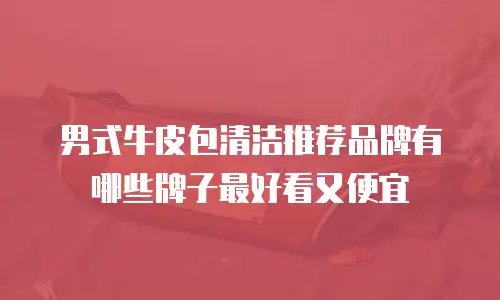 男式牛皮包清洁推荐品牌有哪些牌子最好看又便宜