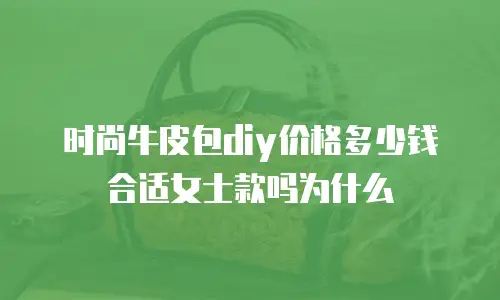 时尚牛皮包diy价格多少钱合适女士款吗为什么