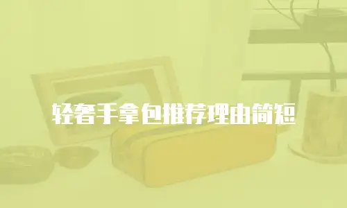 轻奢手拿包推荐理由简短
