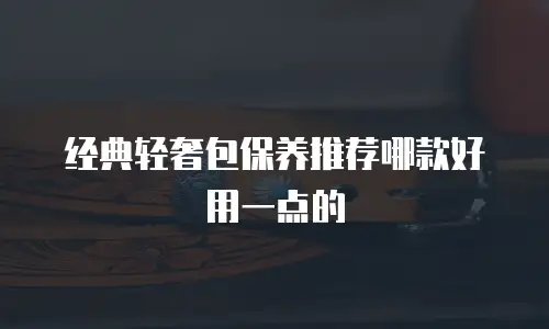 经典轻奢包保养推荐哪款好用一点的