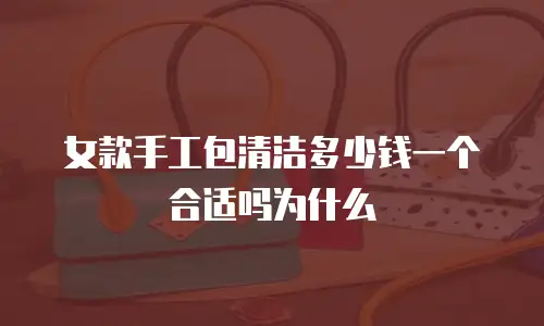 女款手工包清洁多少钱一个合适吗为什么