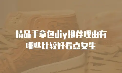 精品手拿包diy推荐理由有哪些比较好看点女生