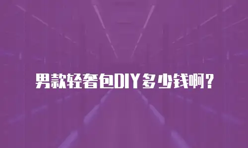 男款轻奢包DIY多少钱啊？