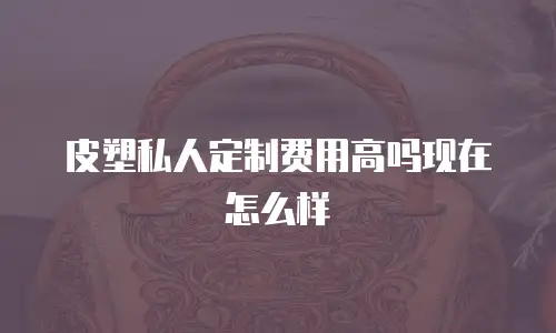 皮塑私人定制费用高吗现在怎么样
