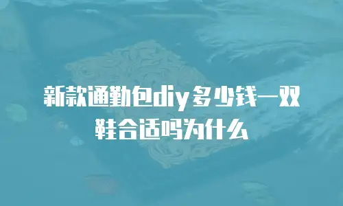 新款通勤包diy多少钱一双鞋合适吗为什么