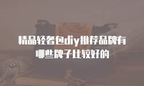 精品轻奢包diy推荐品牌有哪些牌子比较好的
