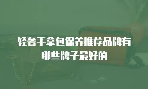 轻奢手拿包保养推荐品牌有哪些牌子最好的