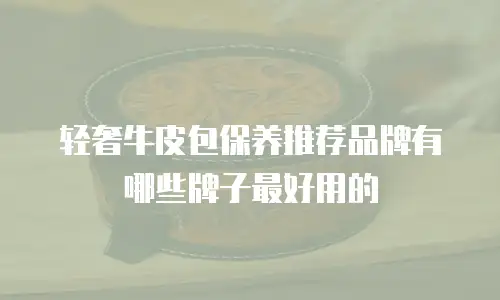 轻奢牛皮包保养推荐品牌有哪些牌子最好用的