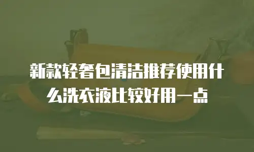 新款轻奢包清洁推荐使用什么洗衣液比较好用一点