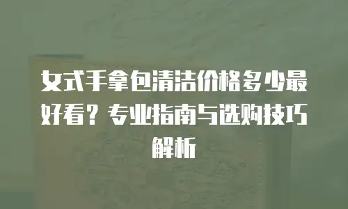 女式手拿包清洁价格多少最好看？专业指南与选购技巧解析