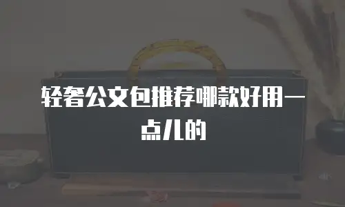 轻奢公文包推荐哪款好用一点儿的