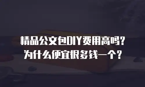 精品公文包DIY费用高吗？为什么便宜很多钱一个？