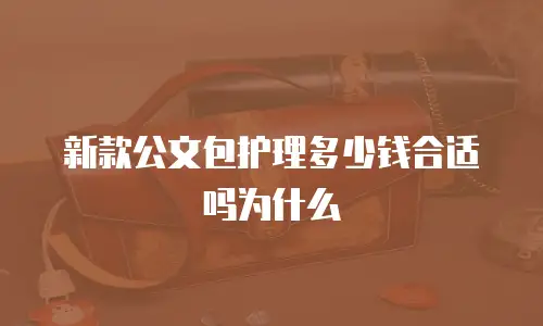 新款公文包护理多少钱合适吗为什么