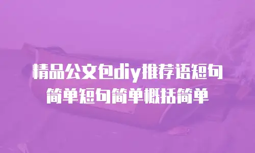 精品公文包diy推荐语短句简单短句简单概括简单