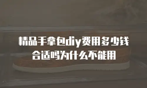 精品手拿包diy费用多少钱合适吗为什么不能用