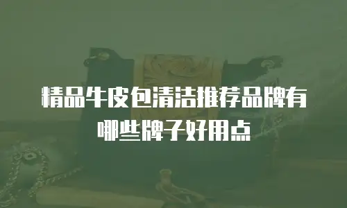 精品牛皮包清洁推荐品牌有哪些牌子好用点