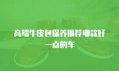 高端牛皮包保养推荐哪款好一点的车