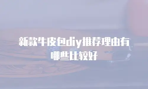 新款牛皮包diy推荐理由有哪些比较好