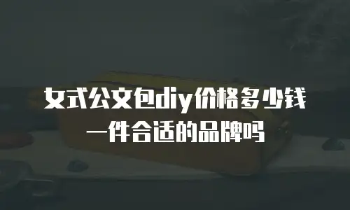 女式公文包diy价格多少钱一件合适的品牌吗