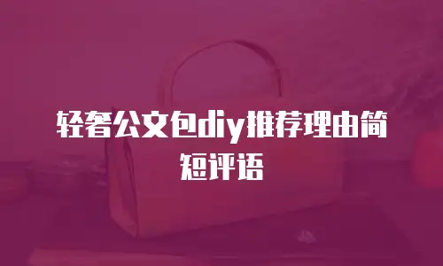 轻奢公文包diy推荐理由简短评语