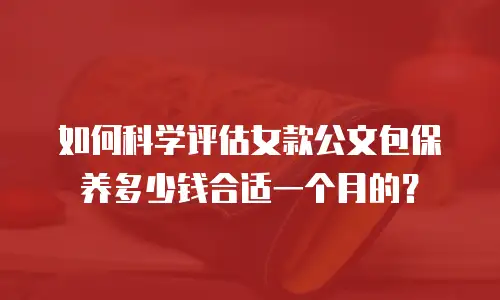 如何科学评估女款公文包保养多少钱合适一个月的？