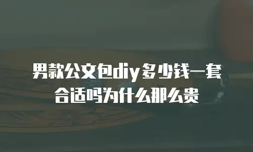 男款公文包diy多少钱一套合适吗为什么那么贵